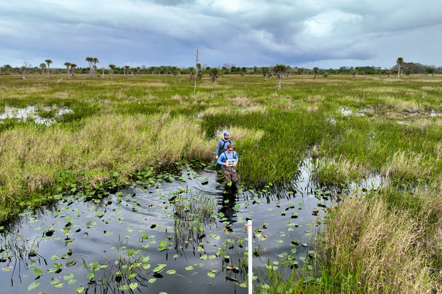 enviromental monitoring and maintenance